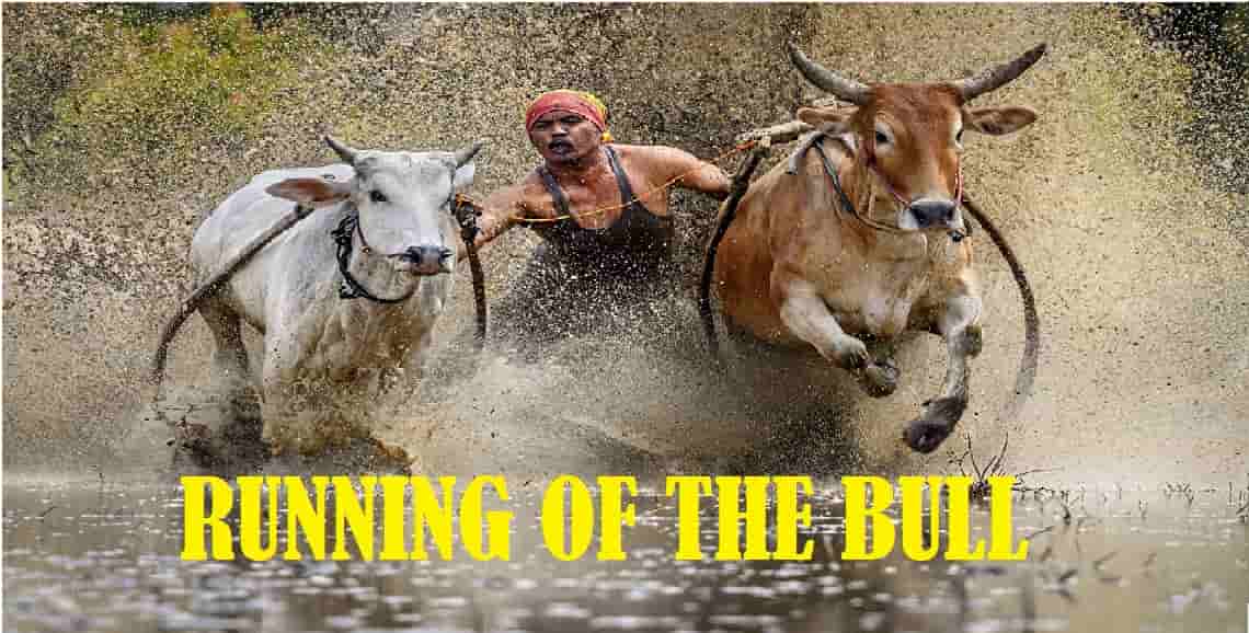 RUNNING OF THE BULL